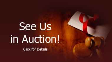 See Us In Auction